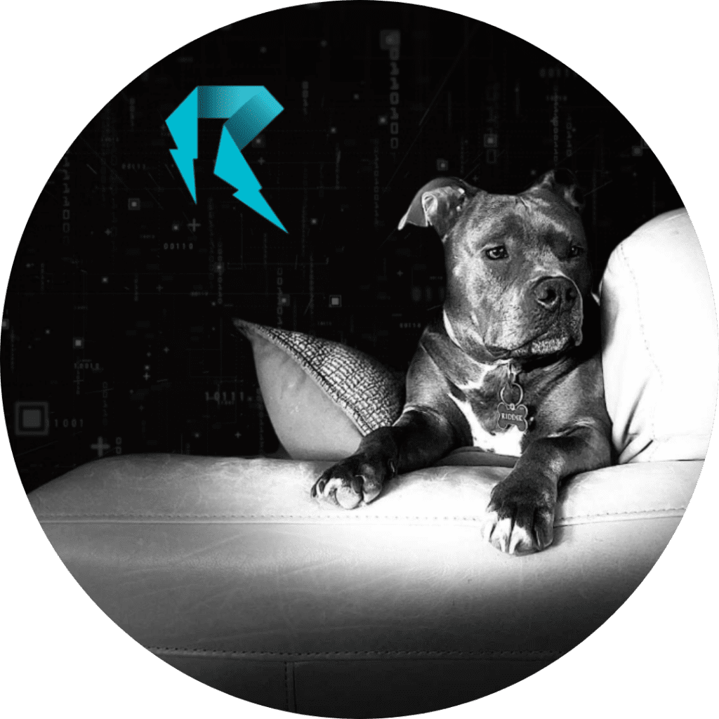 Ridwired Chief Entertainment Officer